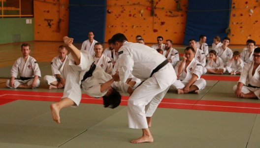 Shorinji Kempo Marseille Japan Expo Sud